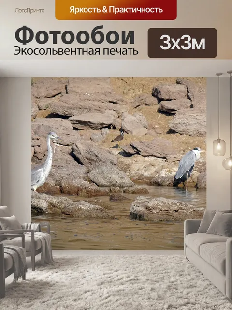 Фотообои Птица