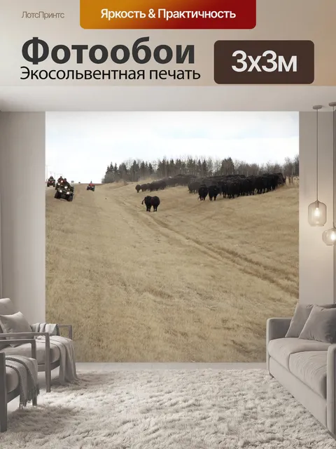 Фотообои Крупный рогатый скот Drive