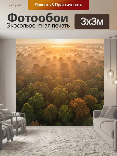 Фотообои Туманный лес на рассвете