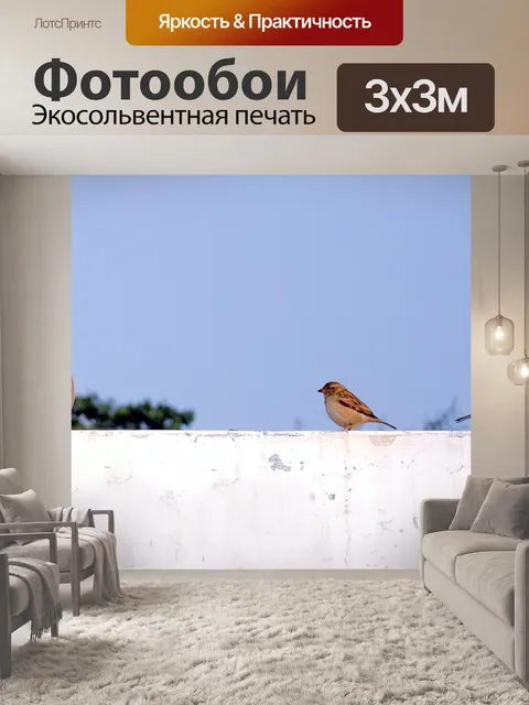 Фотообои Птицы сидели на стене