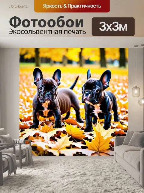 Фотообои щенки породы французский бульдог, забавляющиеся в куче листьев осенью