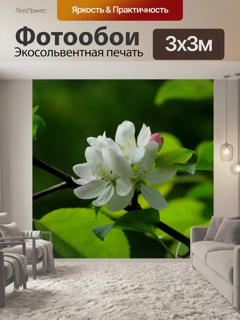 Фотообои Белые цветы
