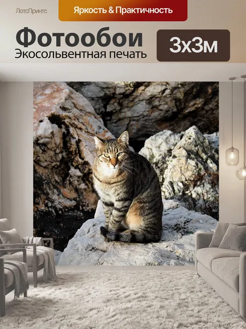 Фотообои Кошка
