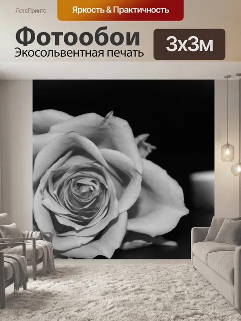 Фотообои Роза