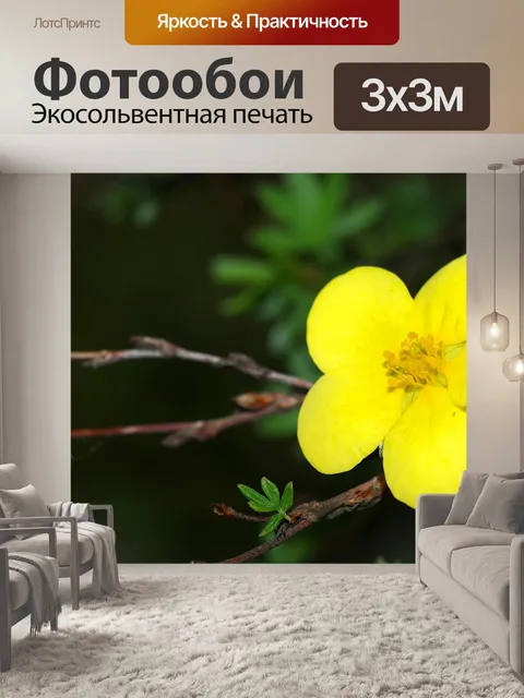 Фотообои Цветок