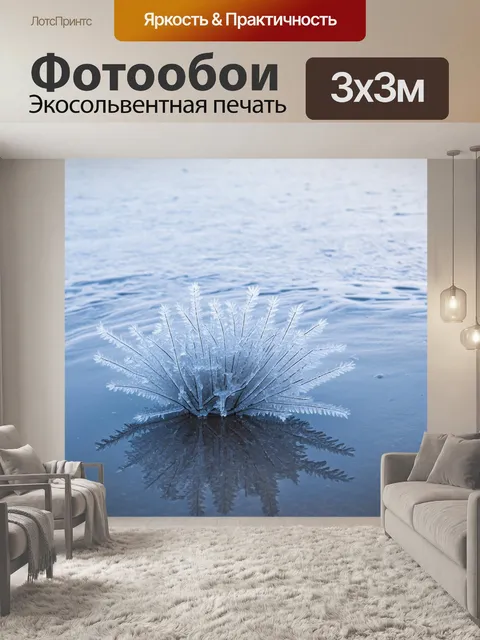 Фотообои ледяные иглы на воде, создающие картину зимнего объединения природы
