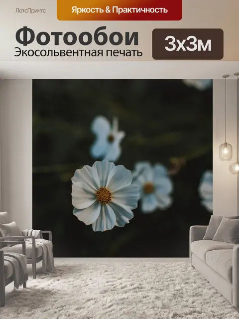 Фотообои Белый