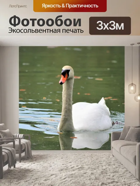 Фотообои Белый лебедь