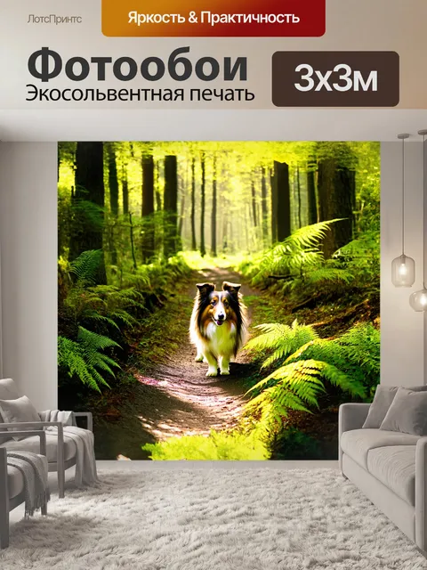 Фотообои шелти исследует лесную тропинку, окружённую высокими деревьями и зелёными папоротниками