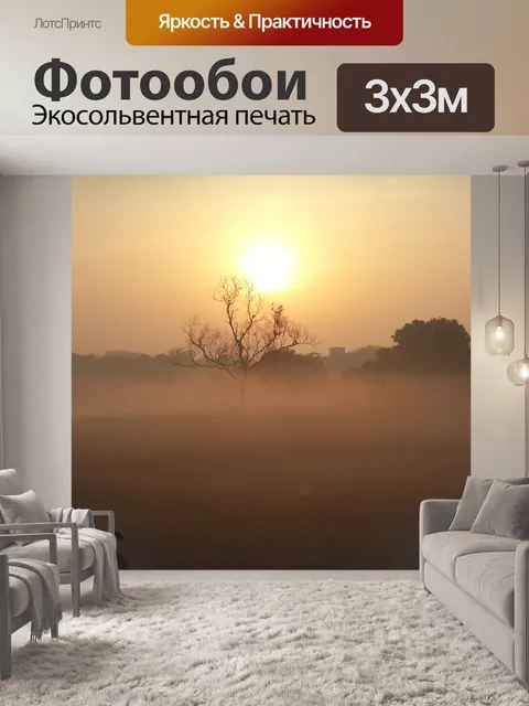 Фотообои Туманный восход солнца