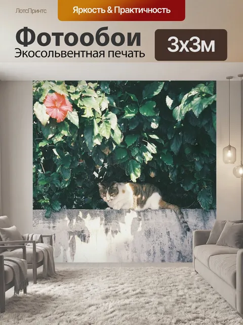 Фотообои Стена