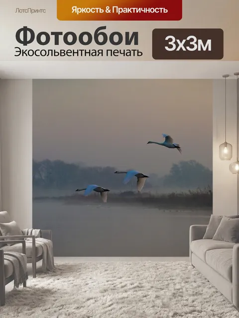 Фотообои Лебеди
