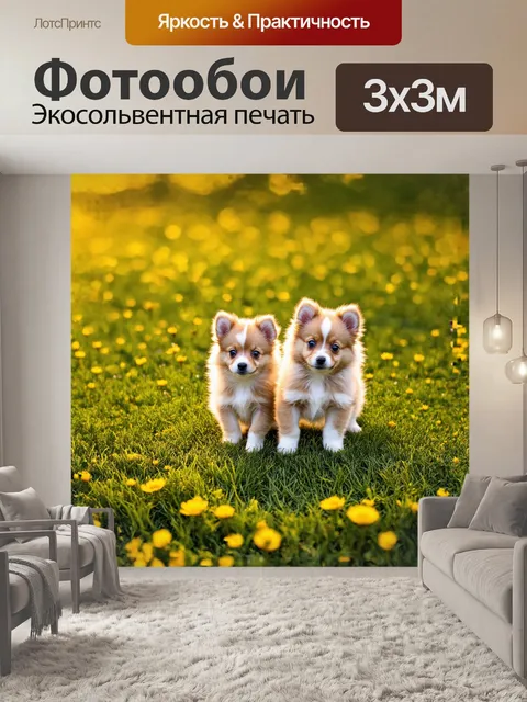 Фотообои в нежном свете раннего утра, игривые шпиц-щенки, покрытые пушистым мехом, исследуют зеленый травяной ковер