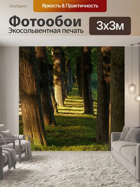Фотообои Деревья