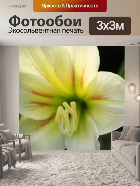 Фотообои белый цветок