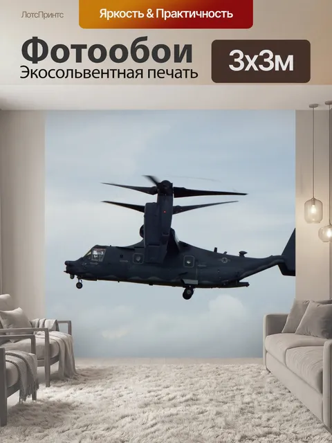 Фотообои Авиашоу