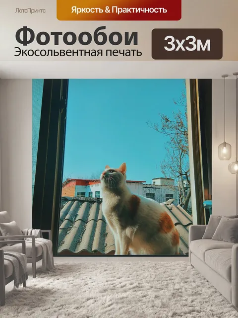 Фотообои Оранжевый кот