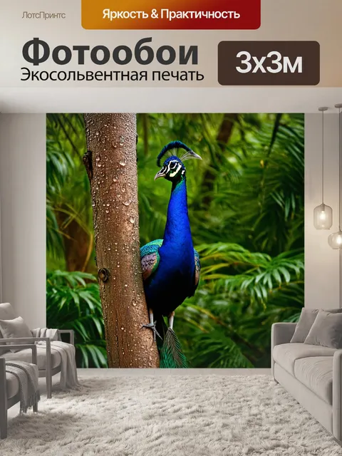 Фотообои павлин, сидящий на высоком дереве в тропическом лесу, с длинными перьями, свисающими, в окружении буйной…