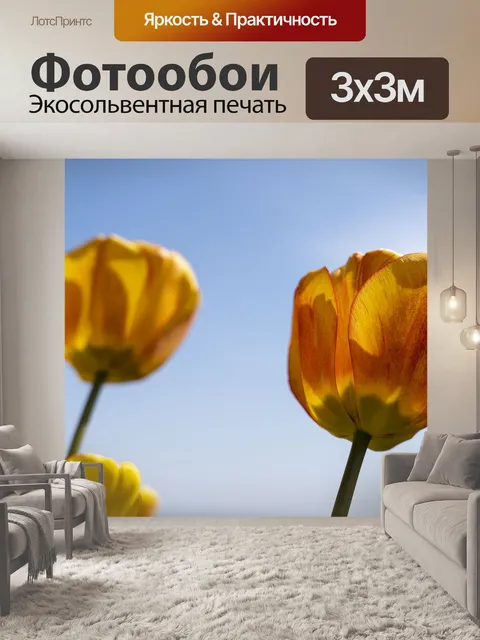 Фотообои Тюльпан