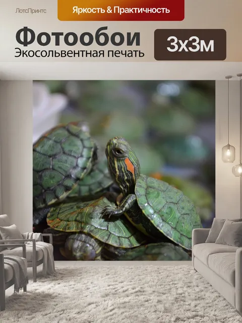 Фотообои Черепашки