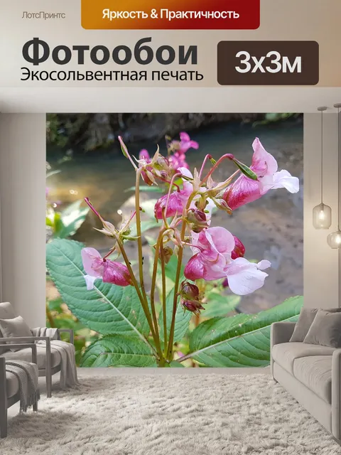 Фотообои Розовые цветы