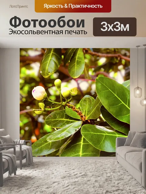 Фотообои Цветочный бутон