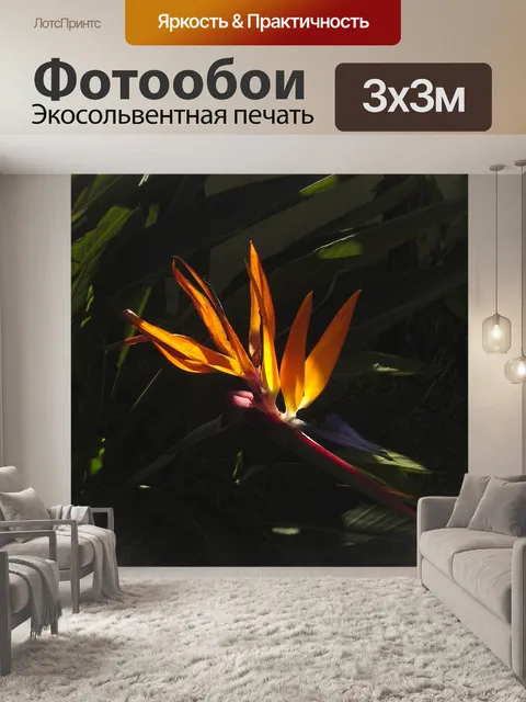 Фотообои Райская птица