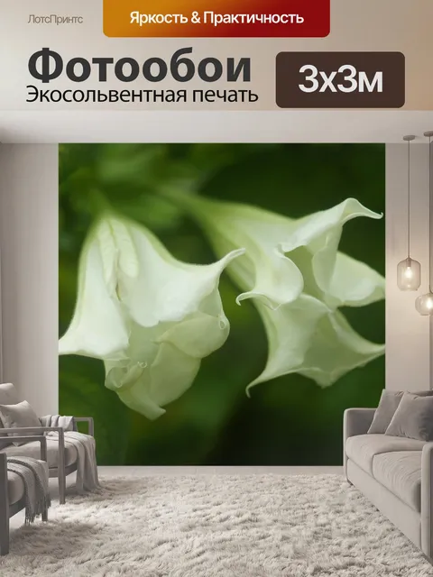 Фотообои Белый