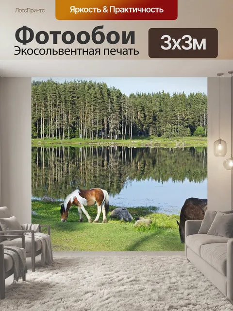 Фотообои Краска лошадь