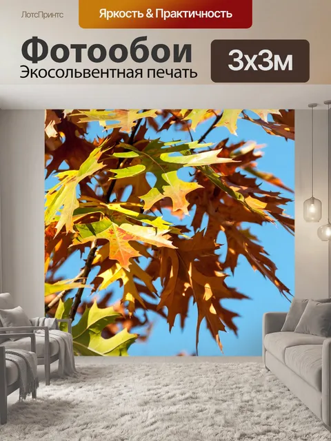 Фотообои Дубовые листья