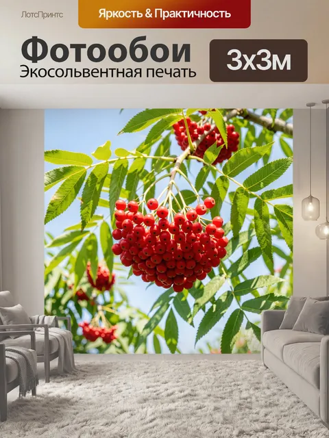 Фотообои Гроздья красной рябины на ветке
