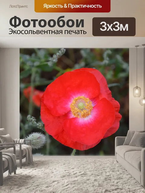 Фотообои Полевые цветы 12