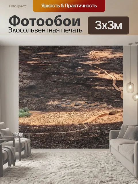 Фотообои Path
