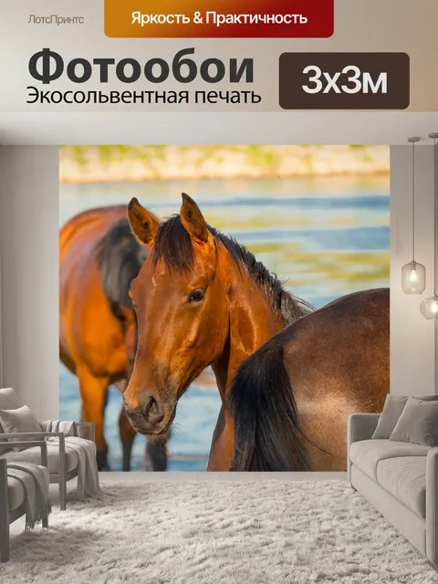 Фотообои Лошади