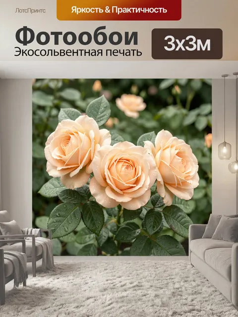 300 × 300 см · Экосольвентная печать