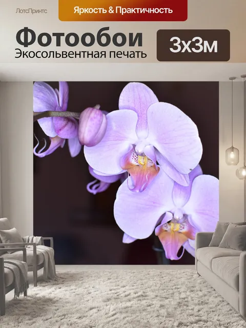 Фотообои Орхидеи