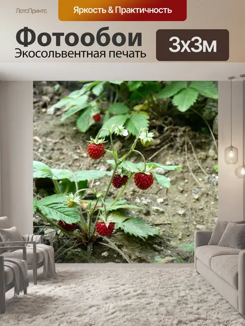 Фотообои Земляника лесная