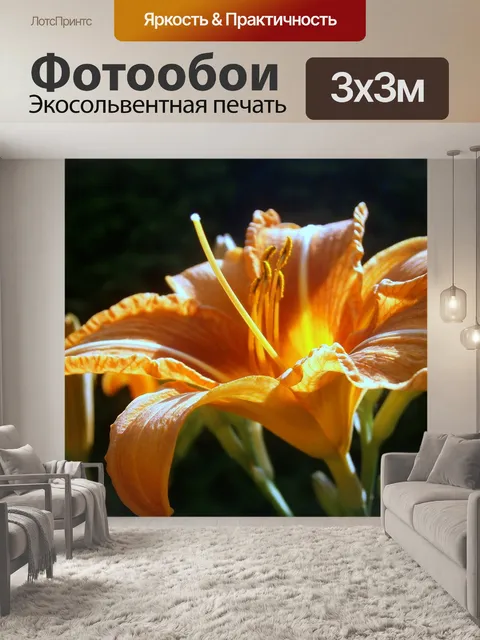 Фотообои Лили