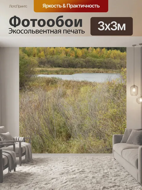 Фотообои Осенние краски у озера