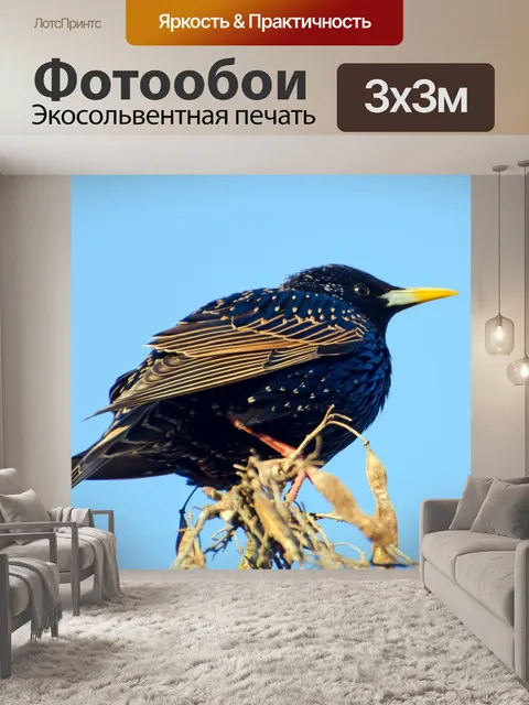 Фотообои Птица