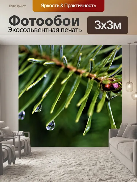 Фотообои Еловая ветка