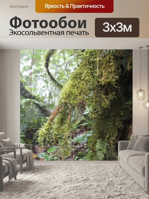 Фотообои Папоротник в тропическом лесу