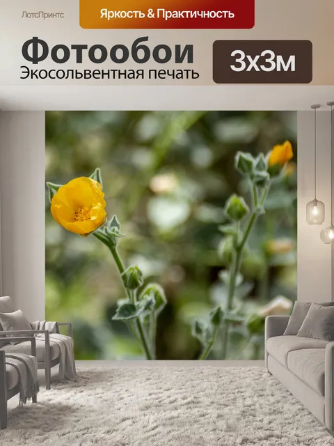 Фотообои Желтый мак