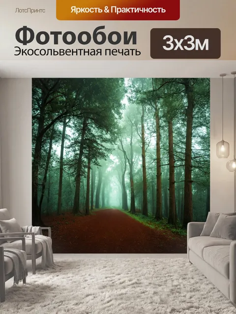 Фотообои окутанный утренним туманом и созданный для прогулок