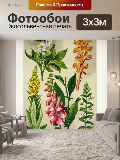 Фотообои Цветочная иллюстрация полевых цветов ста
