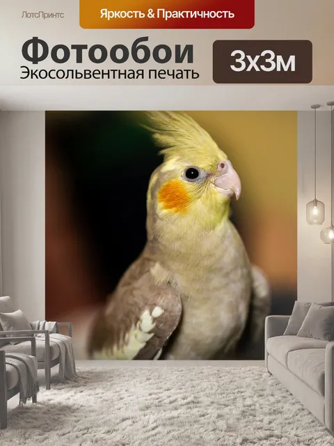Фотообои Нимфа