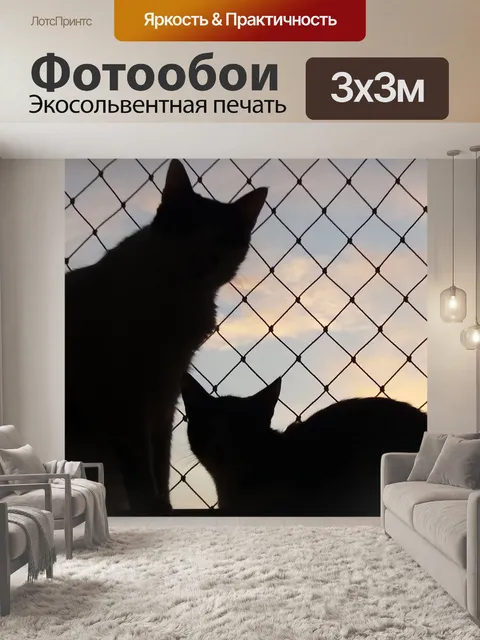 Фотообои Кошки