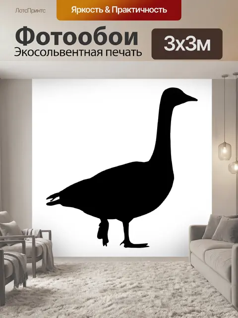 Фотообои Гусь