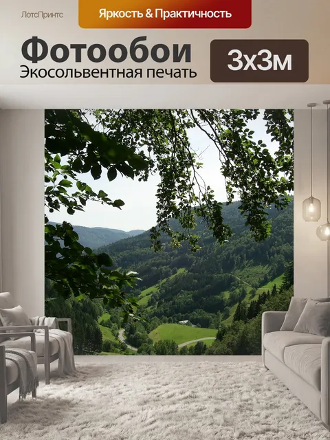 Фотообои Черный лес