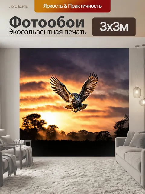 Фотообои евразийский филин, величественно парящий в вечернем небе, его широкие крылья раскинуты, словно плавники…